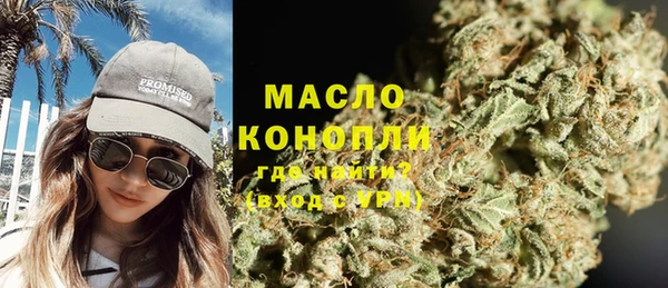 сатива Вяземский