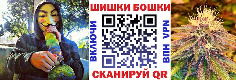 Шишки марихуана сатива  Сясьстрой 